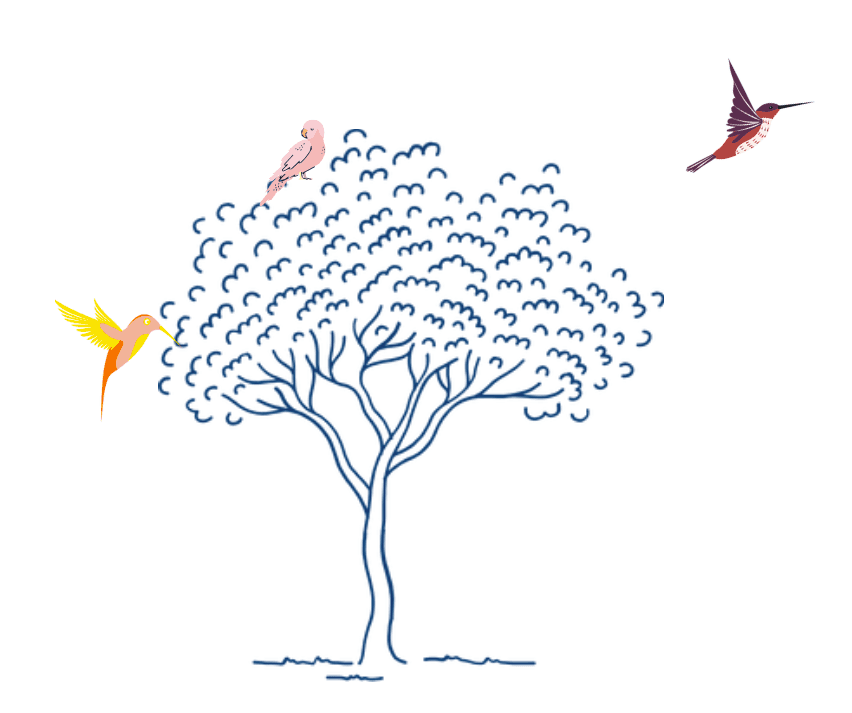 Une image d'arbre